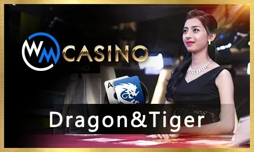Taya365 CS:GO Betting